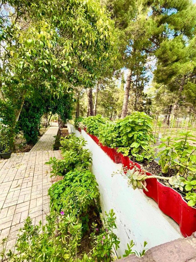 Villavictoria Marias View Pool Apartment Peraia  Exterior photo